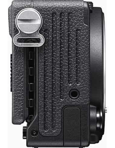 FP L BODY + OVF-11 viewfinder